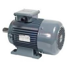 AGM 100 L 8b 1.1 kW 7k-750 d-dk Gamak Trifaze Asenkron Elektrik motoru